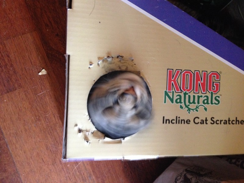 140711-IMG_1765-200010